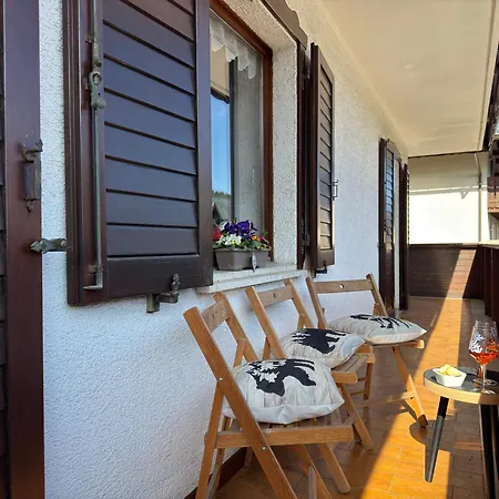 Stella Alpina * تارفيسيو