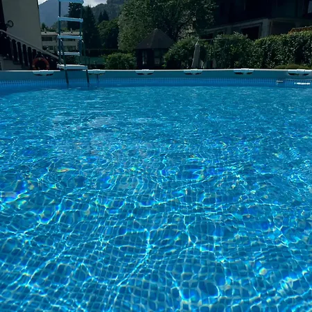 Stella Alpina Tarvisio